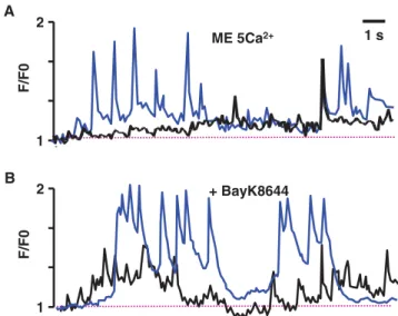 Fig. 8 Effect of ryanodine and external Ca 2+ depletion on localized Ca 2+