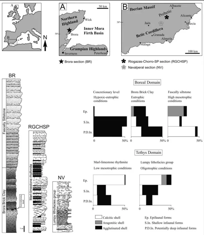 Fig. 1. Location of the sections studied at northeastern Scotland: A – Brora (BR), Inner Moray Firth Basin, Boreal Domain, and southeastern Spain:
