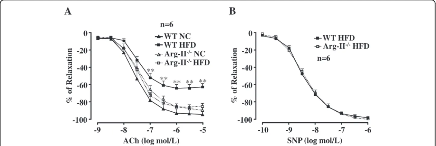 Figure 2 Arg-II gene deficiency prevents HFD-induced impairment of endothelium-dependent relaxation