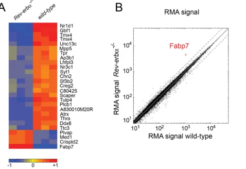 Figure 1. Genome wide expression profiling of wild-type and Rev-erba 2/2 tissue from suprachiasmatic nuclei (SCN)