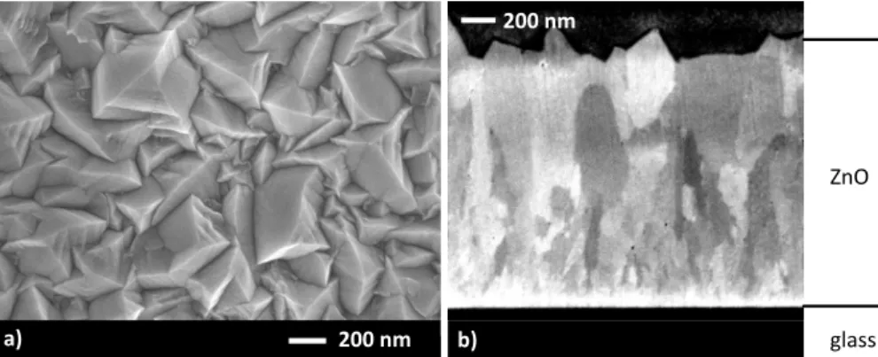 Figure 2.5: SEM images of a standard ZnO layer typically used as a front elec- elec-trode for thin-film solar cells