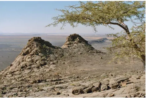 Fig. 10 shows an initial concept. A southern circuit circling the High Atlas and the Eastern Anti-Atlas massives between the valleys of the Ziz and the Draa comprises the interesting stromatolite series of the earliest Phanerozoic times in the Draa valley,