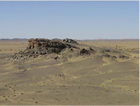 Fig. 13. The Carboniferous “Waulsortian” mounds of the Zigrat range, Taﬁlalt, Morocco, some 30 m high.