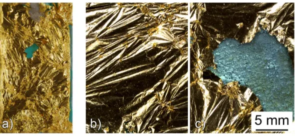Figure  8.  Macroscopic (sensors max. length: 60 mm) (a) and microscopic documentation  (b,c) of a galvanic sensors showing a lack of adhesion of the gold leaf