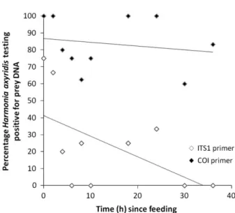 Fig. 2. Detection of Adalia bipunctata DNA in Harmonia axyri- axyri-dis larvae from feeding trials.