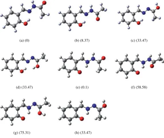 Fig. 4. The optimized geometries of the possible tautomeric forms of [HL].