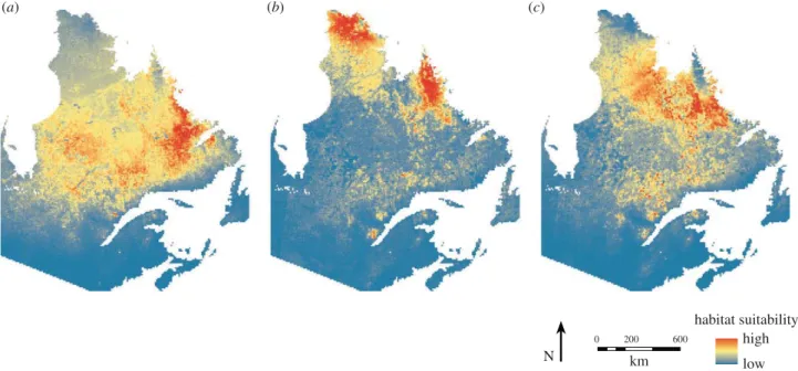 Figure 2. Maps of suitable surfaces for caribou in Que´bec/Labrador. (a) The winter habitat suitability model (HSM) map, (b) The calving season HSM map, and (c) the rutting period HSM map