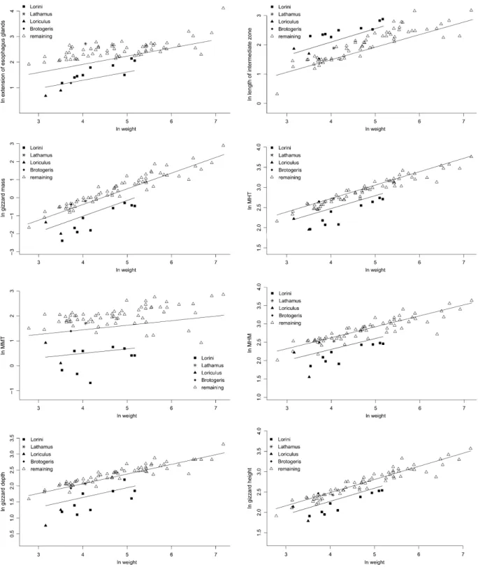 Table 1). However, the more complex model was not substantially supported. Hence, the length of the  proven-triculus is best explained by simple allometry.