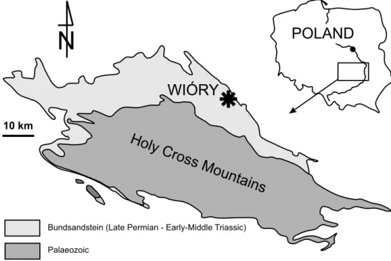 Fig. 1. Location of the Wióry tracksite in the Holy Cross Mountains, Poland