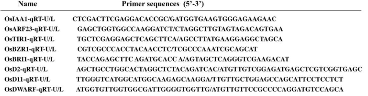 Table S5. Primer sequences for Yeast one-hybrid. 