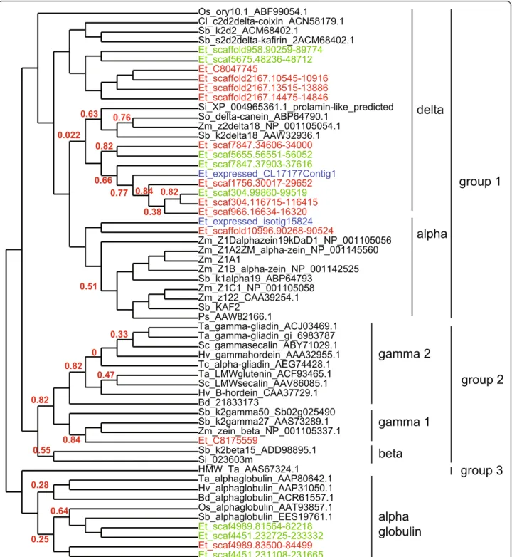Figure 6 Phylogenetic tree of prolamins in grasses. The protein sequences included in the analysis follow those of Xu and Messing [74] with the addition of tef sequences from this work