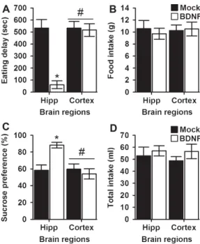 Figure 3 Effect of lentiviral-mediated BDNF overexpression on chronic social defeat-induced depression-like behavior in the forced-swim test (FST)