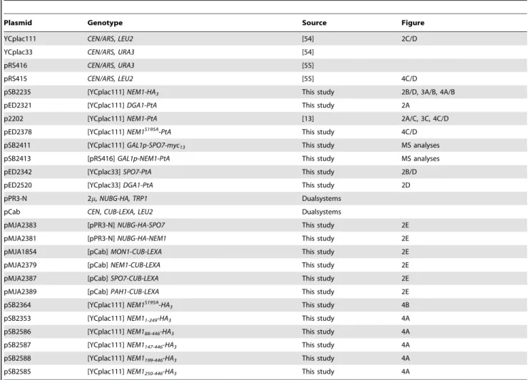 Table 2. Plasmids Used in This Study.