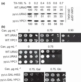 Fig. S4a). AbA treatment caused a drastic reduction of labeling of IPCs, and to a lesser degree, of MIPCs and M (IP) 2 Cs, as expected (Fig