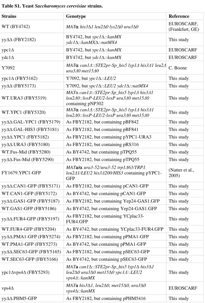 Table S1. Yeast Saccharomyces cerevisiae strains. 