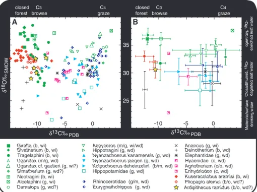Fig. 4. Carbon and oxygen isotopic composition of mammal tooth enamel from the Lower Aramis Member of the Sagantole Formation in the Middle Awash Valley