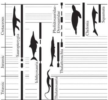 Figure 1. Stratigraphic distributions of marine tetrapod occurrences. Dashed lines indicate the inferred presence of clades in geological stages for which they have not been sampled