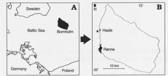 Fig. 1. A. General location of the island of Bornholm. B. The coastal cliff section with the type locality of the Hasle Formation marked with a star.