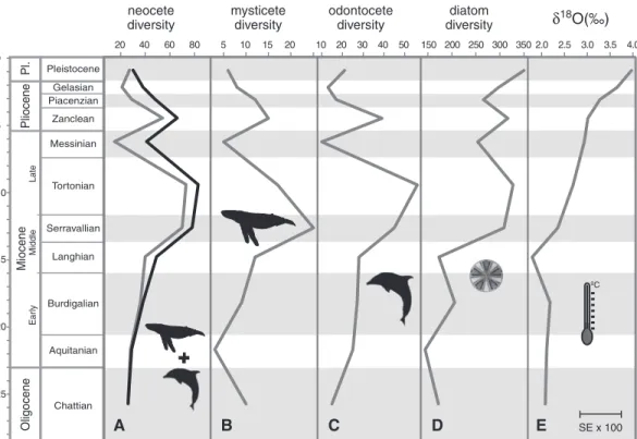 Table 2. Estimated best-fit model parameters for the neocete, mysticete, and odontocete data sets