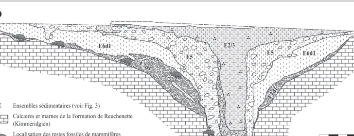 Fig. 4 : Coupe stratigraphique synthétique du remplissage lœssique du Pléistocène supérieur de la doline V1 (voir fig