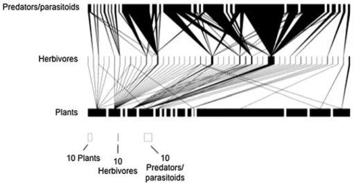 Fig. 2 Hypothetical quantitative food web showing the interactions between plants, herbivores and their predators/