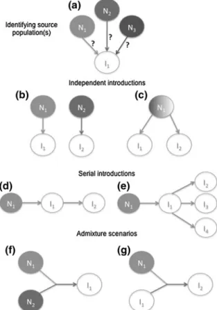 Fig. 1 Hypothetical scenarios of invasion routes that can be formally tested using DIYABC (Cornuet et al