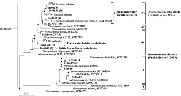 Fig. 3. Continued.