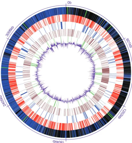 Fig. 1. Circular representation of the genome of Desulfotomaculum reducens strain MI-1.
