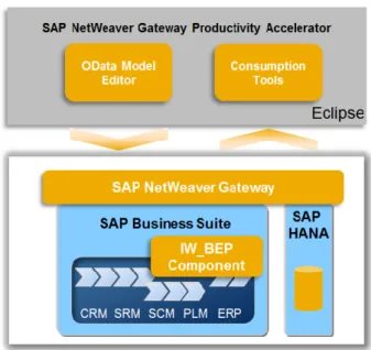 Figure 20 : SAP NetWeaver Gateway Productivity Accelerator  21