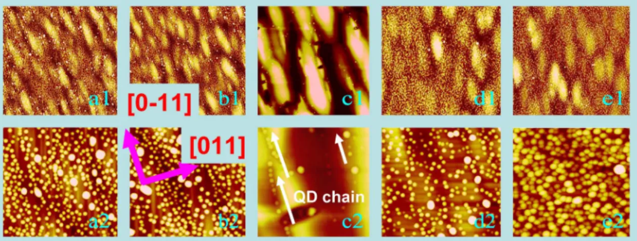 Figure 3 | The comparison of dark filed (002) cross-sectional