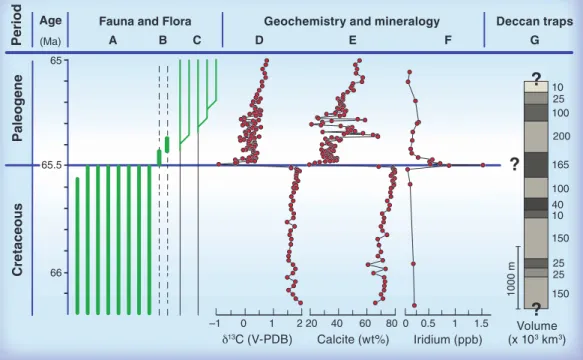 Fig. 1. Stratigraphy and schematic record of biotic events across the K-Pg boundary correlated to the chemical and mineralogical records of a core from the North Atlantic [Ocean Drilling Program (ODP) Leg 207] and the major eruptive units of the Deccan flo