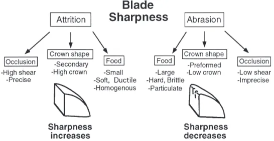 Fig. 12. A summary of secondary influences upon blade tip sharpness.