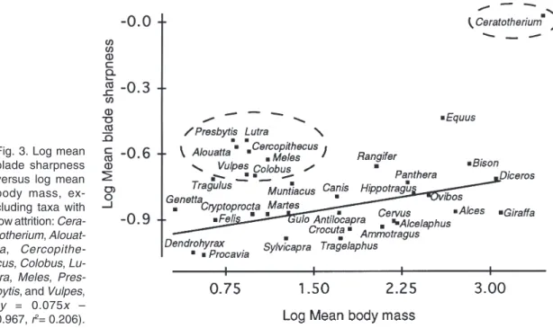 Fig. 3. Log mean blade sharpness versus log mean body mass,  ex-cluding taxa with low attrition:   Cera-totherium ,   Alouat-ta ,   Cercopithe-cus ,  Colobus ,   Lu-tra ,  Meles ,   Pres-bytis , and  Vulpes , ( y  = 0.075 x  – 0.967,  r 2 = 0.206).