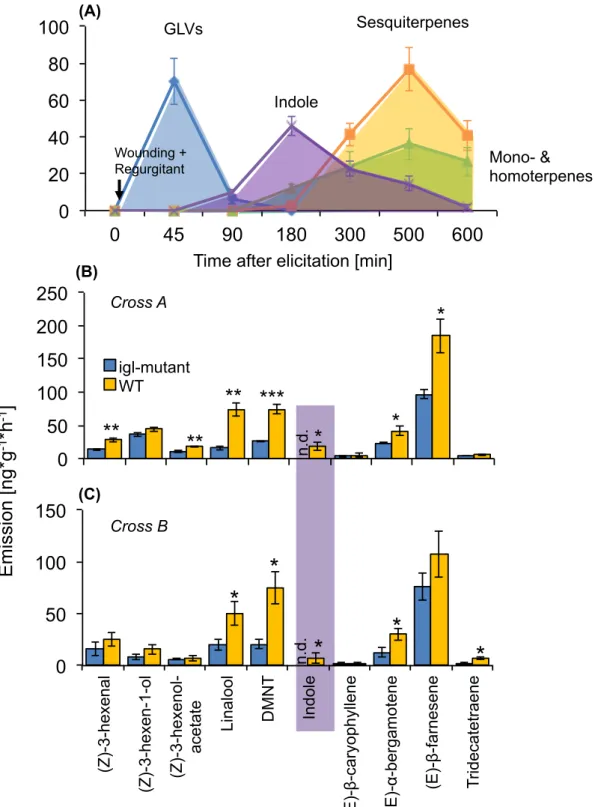 Figure  1:  Timing  and  indole-dependent  release  of  herbivore-induced  volatile  compounds  from  maize  leaves