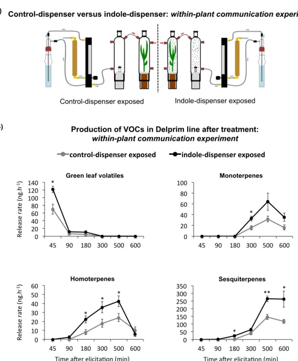 Figure 5: Plant-plant communication experiment with synthetic indole.  