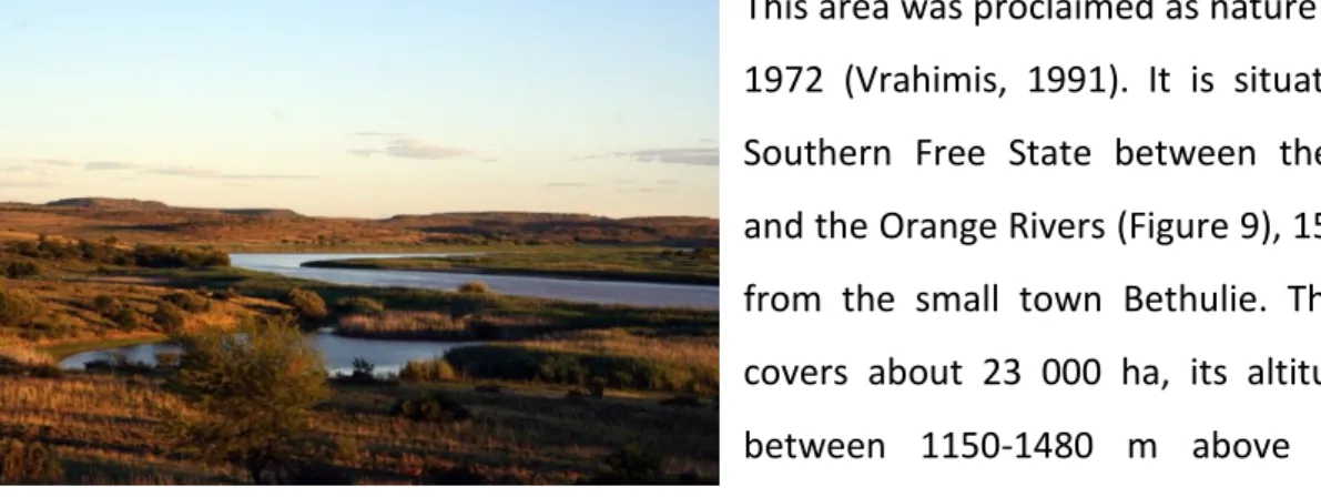Figure 10: Grass plains in front of dolomite koppies (VW).