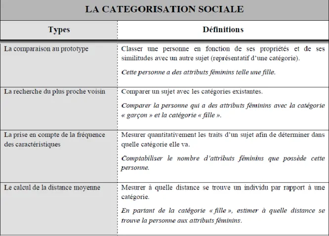 Figure 3: Types de catégorisations sociales 