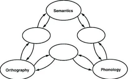 Abbildung  2:  Triangel-Modell  von  Seidenberg  &amp;  McClelland  (1989).  Aus:  Seidenberg  (2005,  S