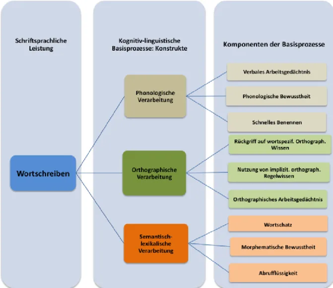 Abbildung 3: Komponenten der kognitiv-linguistischen Basisprozesse 