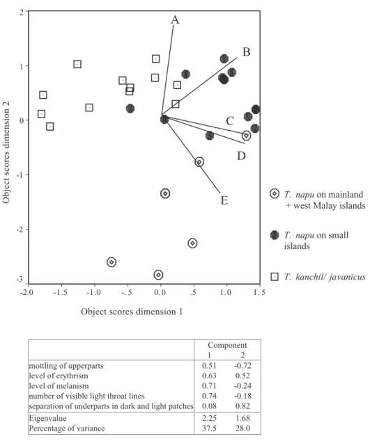 Figure 3. Categorical Principal Component Analysis of mouse-deer skin coloration patterns, showing three groups