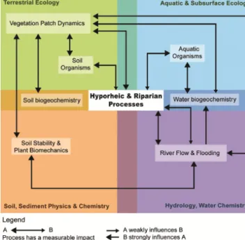 Figure 2. Schematic overview showing scientific domains and re- re-lated processes affecting ecosystem functions in river corridors that should be considered during restoration