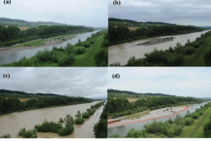 Figure 4. Upstream view of the main island of the Swiss River Thur monitored with high-resolution remotely controllable digital cameras (see Pasquale et al., 2011 for details)