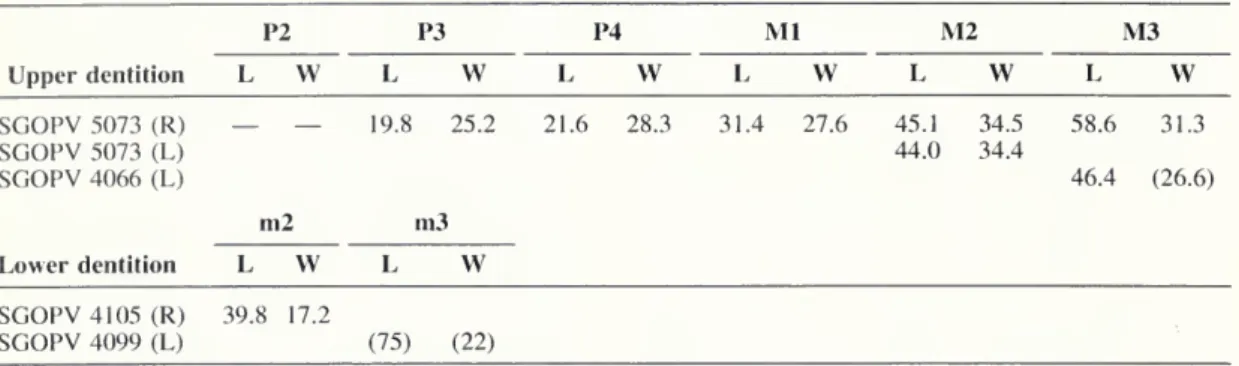 Table 1 . Measurements for Chucal specimens of Nesodon imbricatus. P2 P3 P4 Ml M2 Upper dentition L W W W W W M3 W SGOPV 5073 (R) SGOPV 5073 (L) SGOPV 4066 (L) Lower dentition m2 19.8 25.2 21.6 28.3 31.4 27.6ni3 45.1 44.0 34.5 34.4 W W 58.646.4 31.3 (26.6)