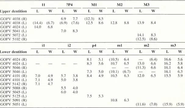 Table 2. Measurements for specimens of Altitypotherium paucidens.