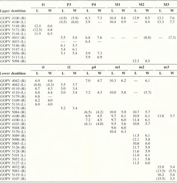 Table 4. Measurements for specimens of Altitypotherium chucalensis. II P3 P4 Ml M2 Upper dentition W W W W W M3 W SGOPV4100(R)