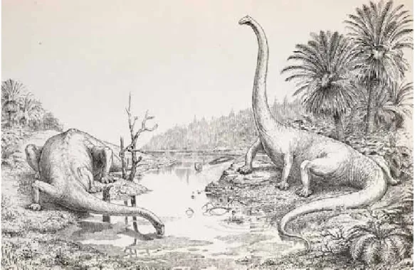 Abb. 7 Oliver P. Hays Diplodocus mit durchhängendem Brustkorb aus Proceedings of  the Washington Academy of  Sciences, 1910