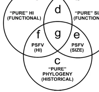 Figure 2. Schematic depiction of the three factors analyzed in partition variation meant to illustrate both their individual  con-tribution to shape variance (i.e., fractions a, b, and c) and their interacting components