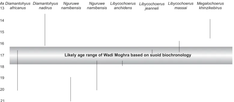 Fig. 8. Likely age range of Wadi Moghra, Egypt, based on suoid biochronology.