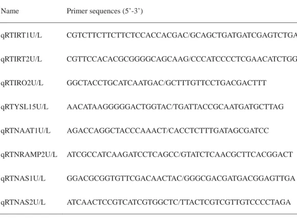 Table S3. Primer sequences for Fe-deficiency responsive genes.