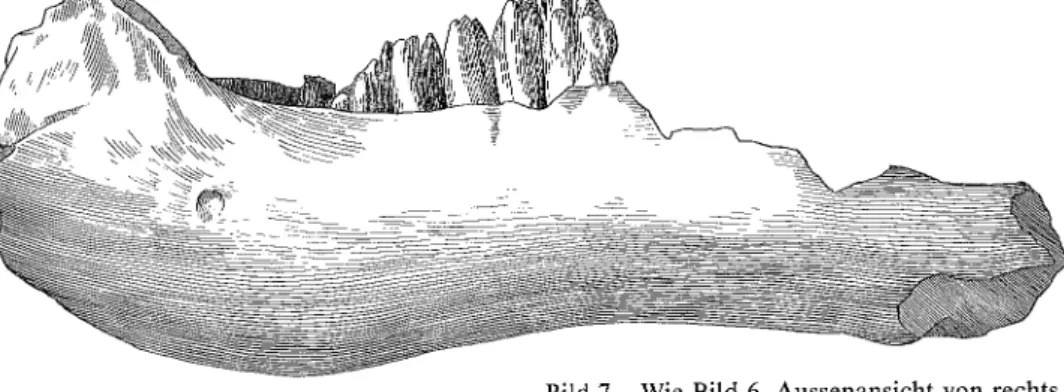 Fig. 7 Compare with Fig. 6, right lateral view.